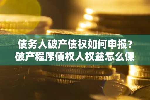 北京债务人破产债权如何申报？破产程序债权人权益怎么保障？