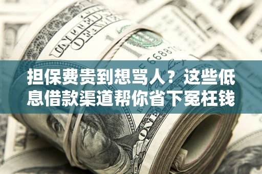 北京担保费贵到想骂人？这些低息借款渠道帮你省下冤枉钱
