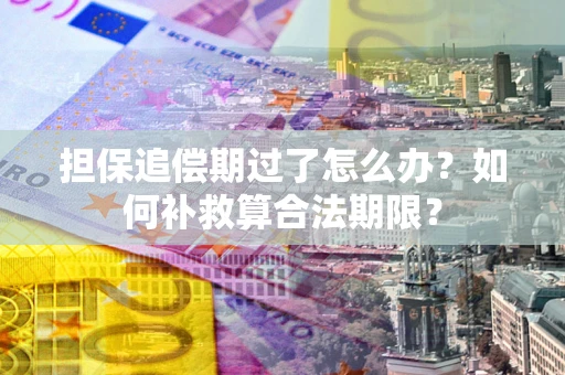 北京担保追偿期过了怎么办？如何补救算合法期限？