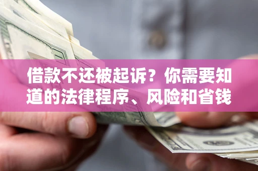 北京借款不还被起诉？你需要知道的法律程序、风险和省钱技巧